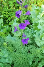 DSCF9210 (2).webp
