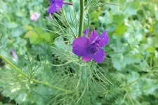 DSCF9255.webp