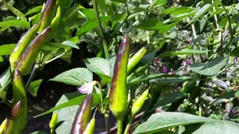 20170622_120410.webp