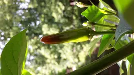 20170622_120251.webp