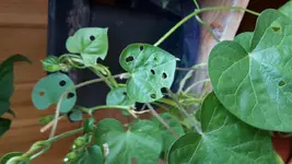 20170622_120505.webp
