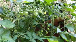 20170622_103053.webp