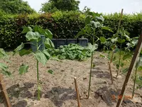 22.06.2016 (2).webp