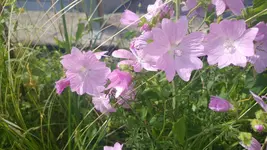 20170622_172242.webp