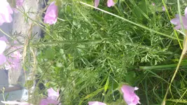 20170622_172341.webp