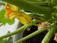 20170622_180824.webp