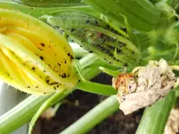20170622_182330.webp
