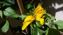 20170622_121944.webp