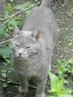 P6210454.webp P6210454.webp