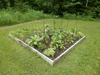 P6210457.webp P6210457.webp