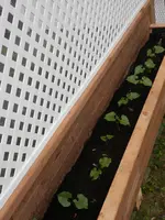 P6210459.webp P6210459.webp