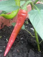 P6210468.webp P6210468.webp