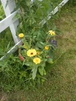 P6210462.webp P6210462.webp