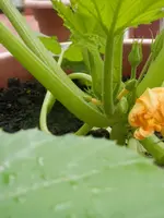 P6210467.webp P6210467.webp