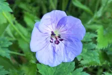 DSCF9273 (2).webp