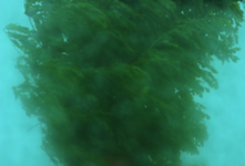 storm_thunder_hail_700.webp