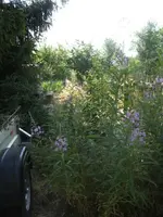 BILD7207.webp
