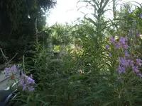 BILD7208.webp
