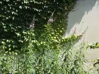 BILD7224.webp