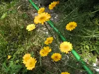 BILD7229.webp