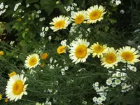 BILD7230.webp