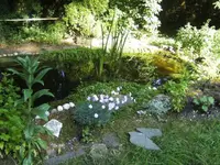BILD6707.JPG
