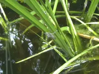 BILD7188.JPG