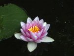 BILD7239.JPG