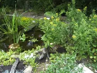 BILD7240.webp