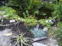 BILD7241.webp