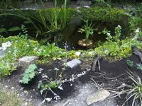 BILD7242.JPG