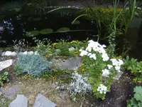 BILD7243.webp