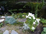 BILD7243.JPG