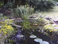 BILD7250.webp