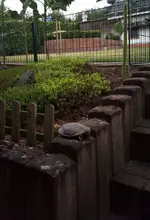 schildkröte1.webp