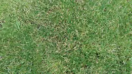 20170623_141659.webp