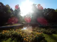 Morgenfrische im Rosarium Baden.webp