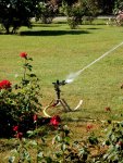 BAUER Kreis-und Sektorregner SB 82 im Rosarium Baden - 18.jpg
