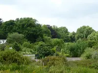 P1060247Blick in den Garten.jpg