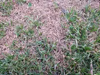 IMG_20170622_144144.webp