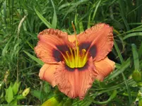 tante yu_1067x800.webp