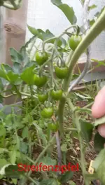 2017-06-24_00.08.34.jpg