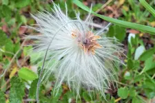 DSCF9285 (2).webp