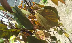20170624_120058.webp