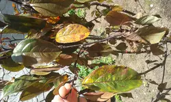 20170624_120048.webp