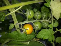 20170624_124620.webp