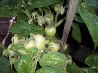 20170619_172656.webp