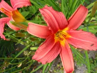 trichter im sand 006.webp