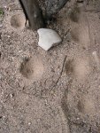 trichter im sand 002.jpg