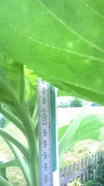 WP_20170624_1.webp
